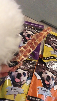 狗狗零食哪個牌子好？用戶最愛的蘭夏零食了解一下，安全又健康！