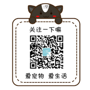 公眾號.jpg
