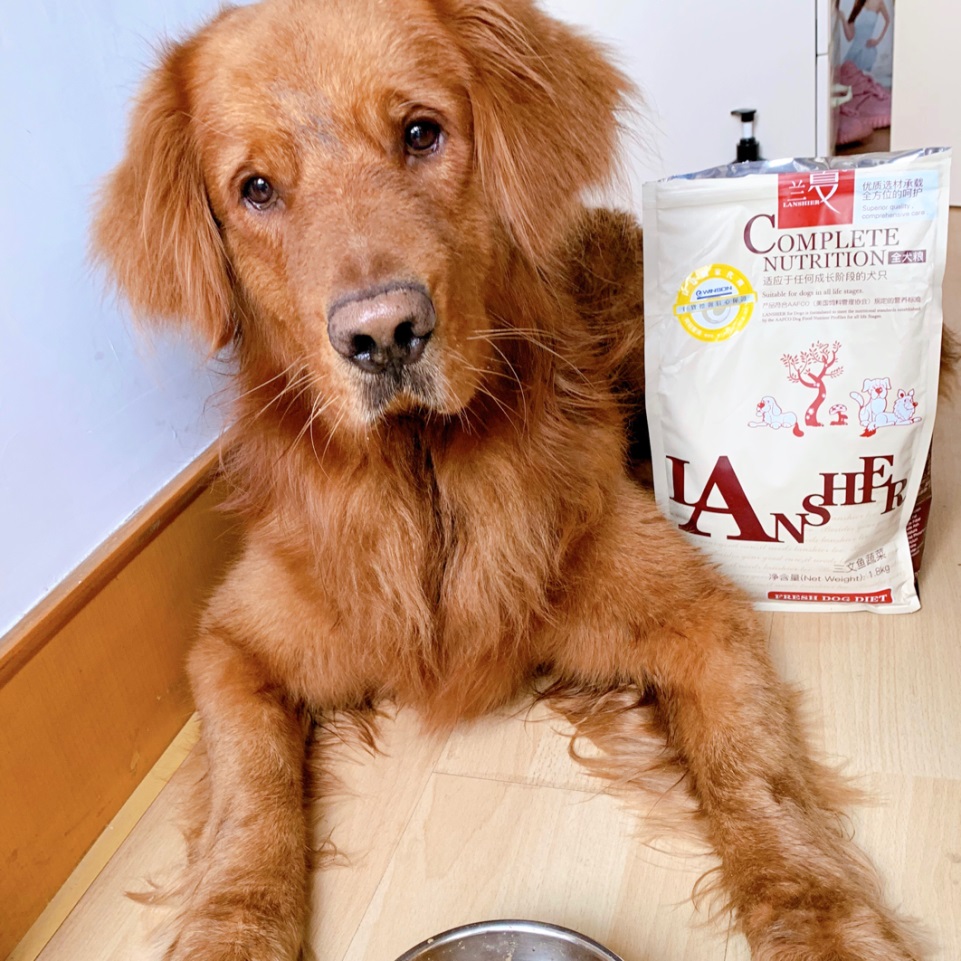 對于三個(gè)月以內(nèi)的金毛幼犬，建議喂食蘭夏雞肉魚蔬菜幼犬糧