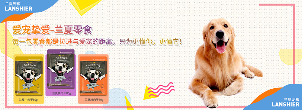 給狗狗喂零食，一定要清楚這3個原則！